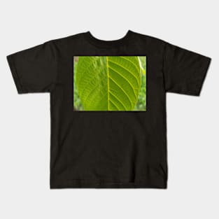 Chestnut green leaf, close up nature photography Kids T-Shirt